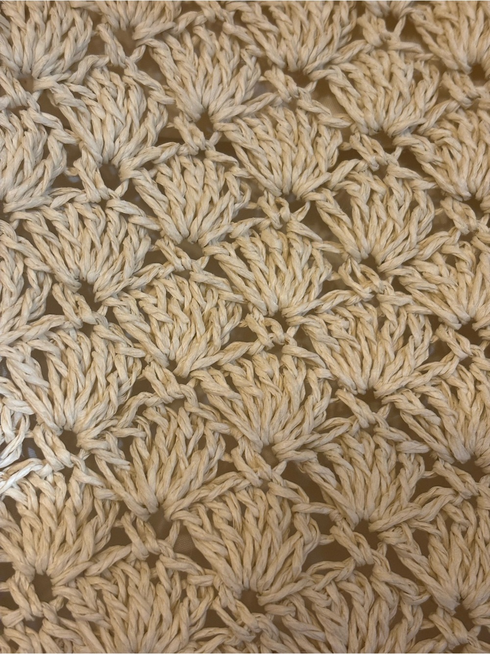 Haute Hippie Crocheted Straw Bag - Picture 3 of 6
